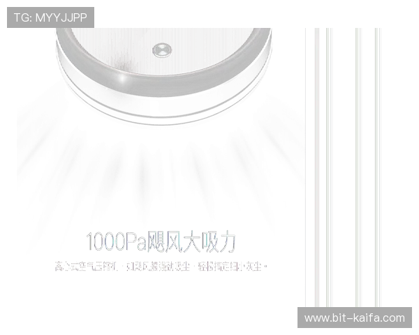 揭秘PA视讯背后的技术原理与实现方案确保用户体验最优化