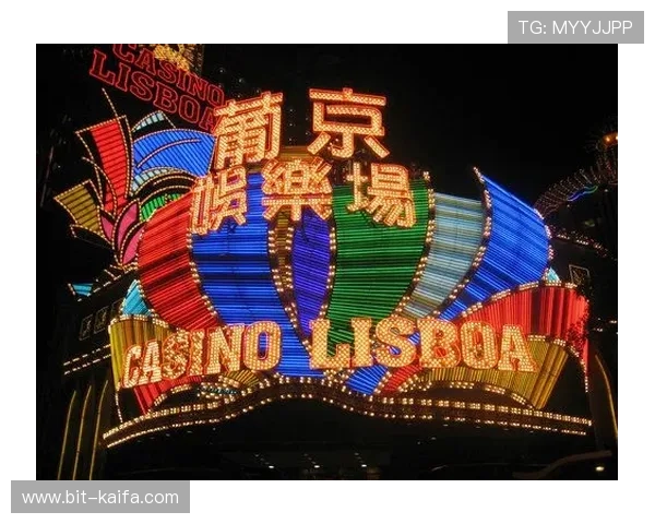 葡京娱乐场在线登录入口官方认证，确保每一次登录都安全可靠