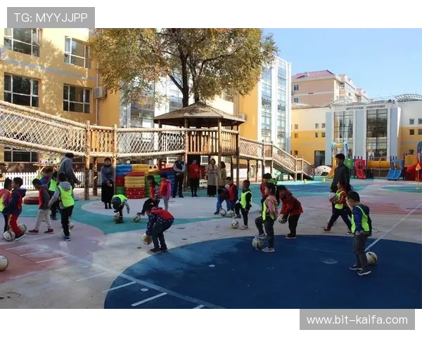 凯发体育注册账号查询系统优化流程确保用户快速便捷完成账号状态核查