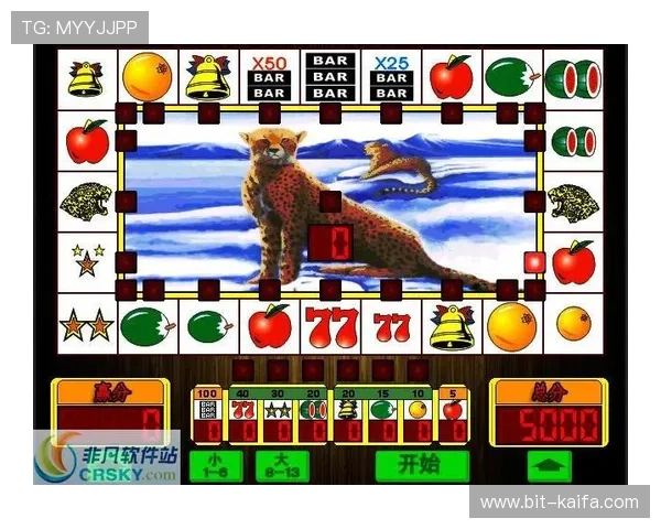 凯发MG老虎机热门游戏排行榜分析带你了解最受欢迎的老虎机游戏推荐