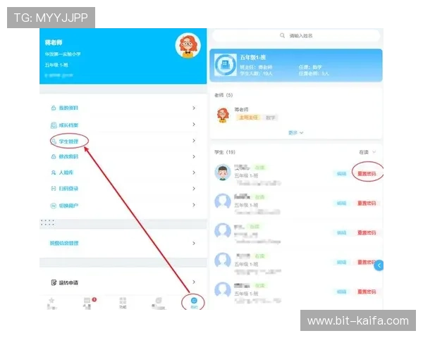 凯发入口账号安全设置指南，强化密码和安全验证保护个人信息