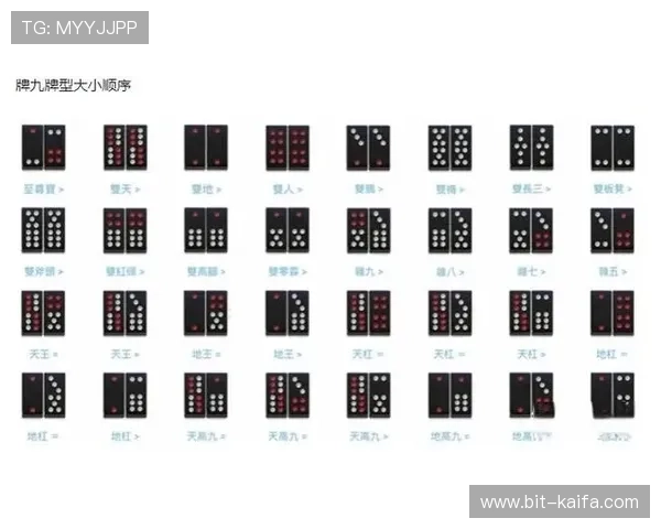 打牌九的技巧提升策略详解帮助玩家轻松赢得游戏胜利